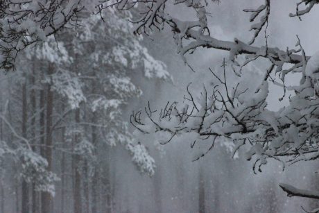 Aurausavustushakemus yli 75-vuotiaille