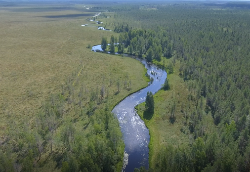 Lestijoki