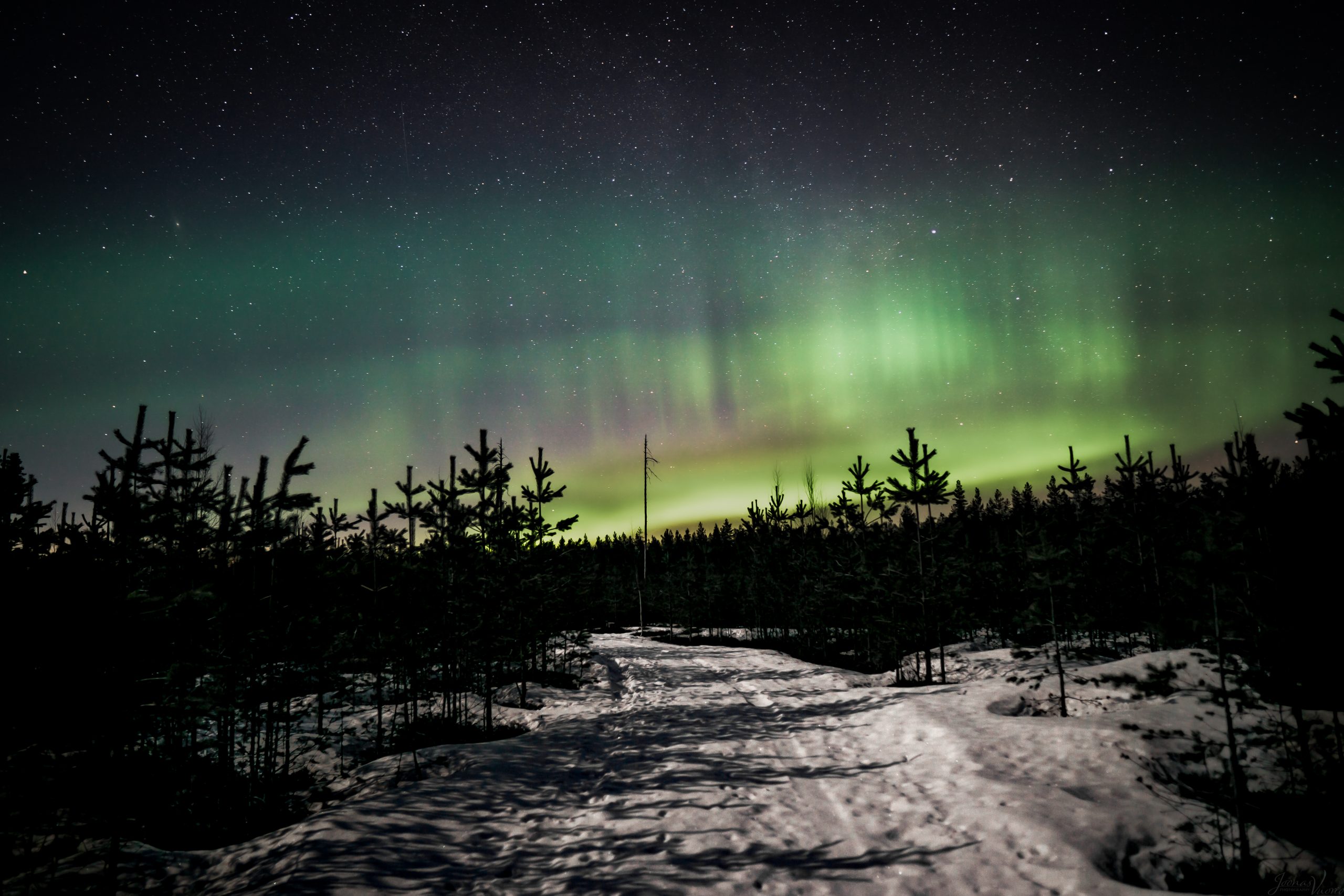 Lestijärvi-paketti - Voimaa luonnosta