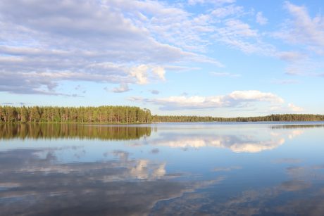 Valokuitukysely Niemen alueelle