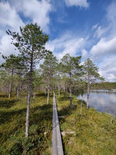 Lestijärven retkeilykohteiden tarkistus