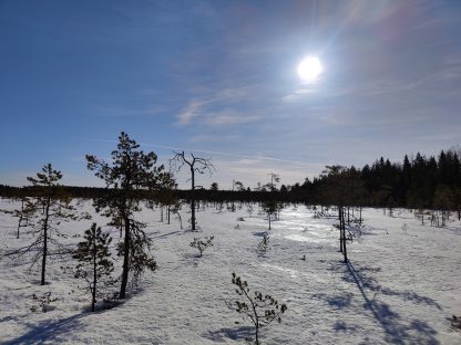 Lestijärven kunnan ylläpitämät ladut