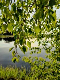 Ilmoita yrityksesi mukaan palveluluetteloon