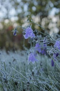 Ehdota Vuoden yrittäjää 2025