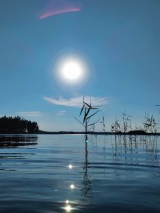 Järvisyyhyä havaittu Lestijärvessä